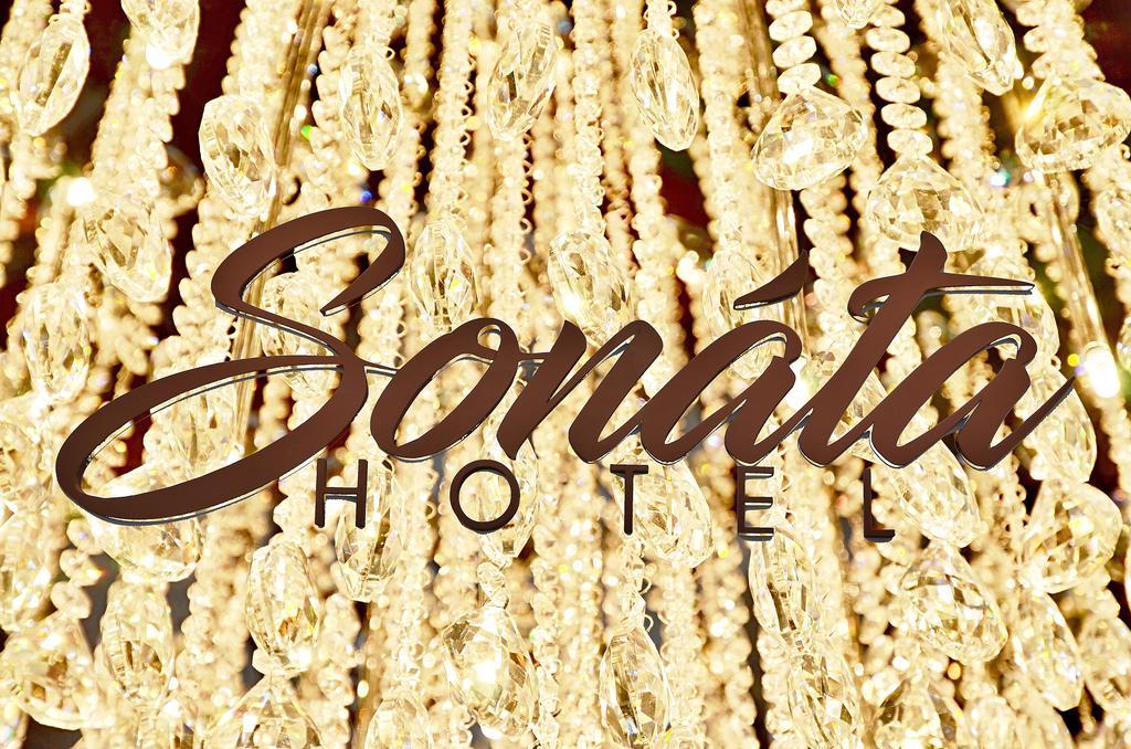 Hotel Sonata Hradec nad Moravici Ngoại thất bức ảnh